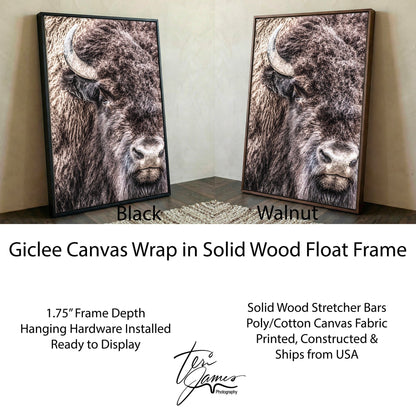 Bison Bull Canvas - Majestic Wildlife Wall Art Rustic Western Decor Print Canvas-Black Frame / 12 x 18 Inches Wall Art Teri James Photography