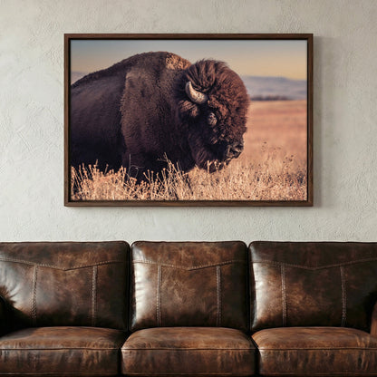 Bison Bull Canvas Print - Wichita Mountains Wildlife Refuge Wall Art Teri James Photography