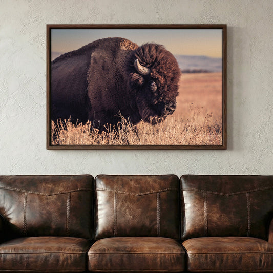 Bison Bull Canvas Print - Wichita Mountains Wildlife Refuge Wall Art Teri James Photography