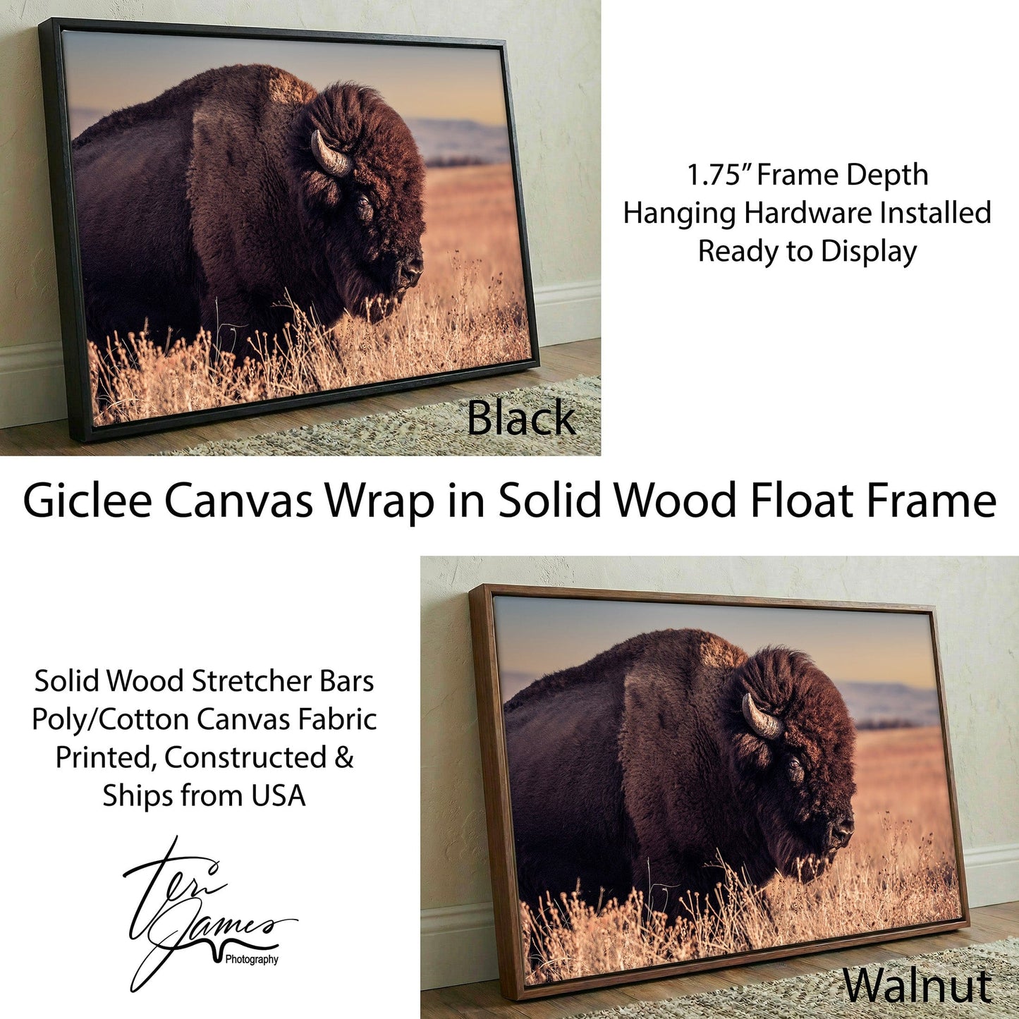 Bison Bull Canvas Print - Wichita Mountains Wildlife Refuge Canvas-Black Frame / 12 x 18 Inches Wall Art Teri James Photography