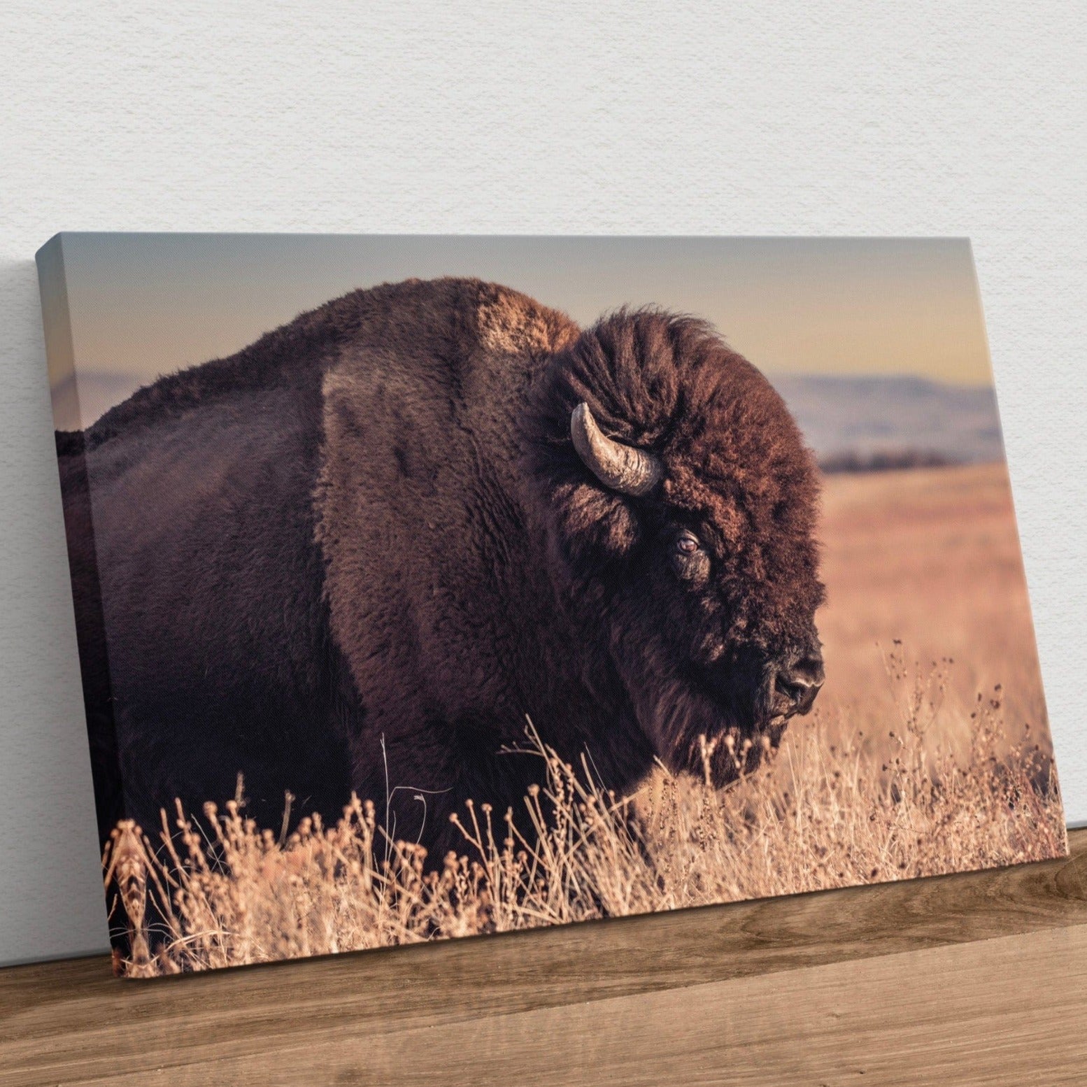 Bison Bull Canvas Print - Wichita Mountains Wildlife Refuge Canvas-Unframed / 12 x 18 Inches Wall Art Teri James Photography