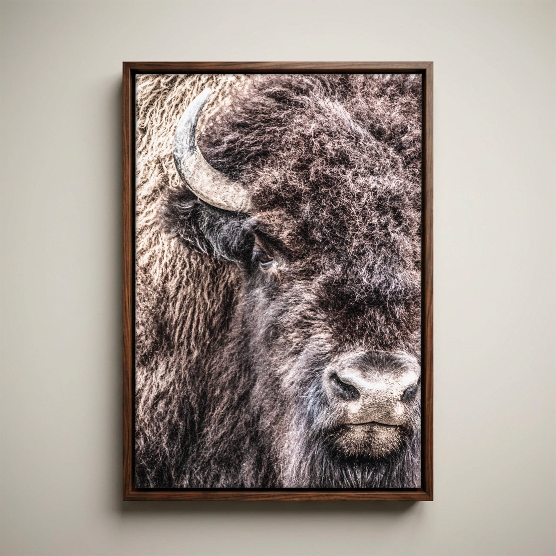 Bison Bull Canvas - Wildlife Wall Art