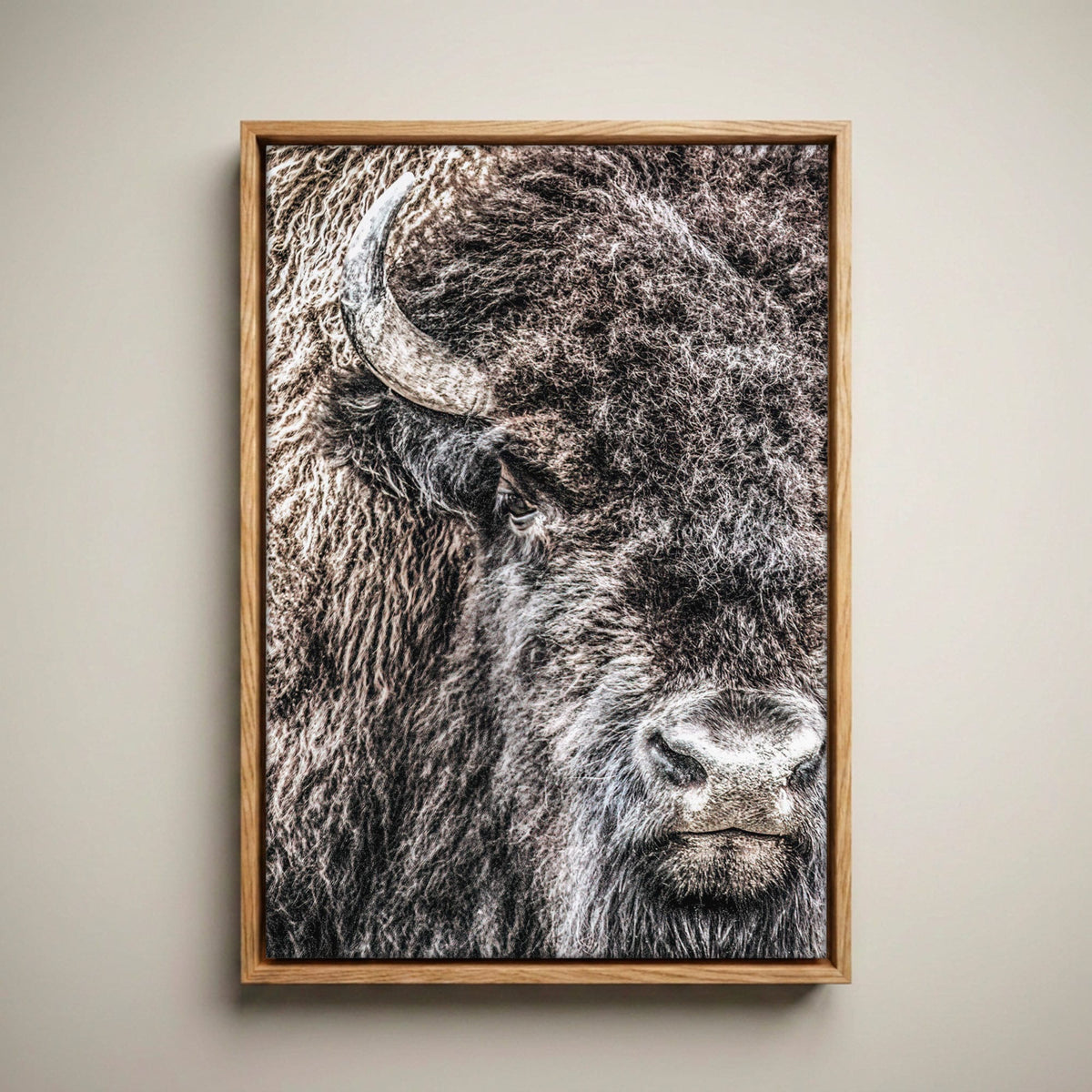Bison Bull Canvas - Wildlife Wall Art Canvas-Natural Oak Float Frame / 12 x 18 Inches