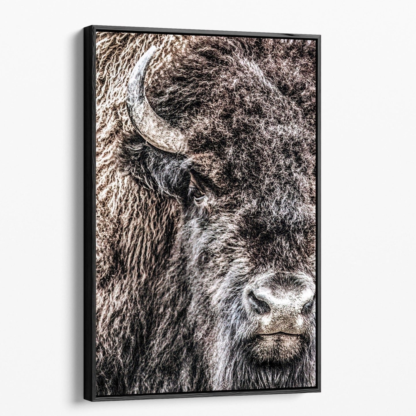 Bison Bull Closeup Photo Canvas Wall Art Teri James Photography