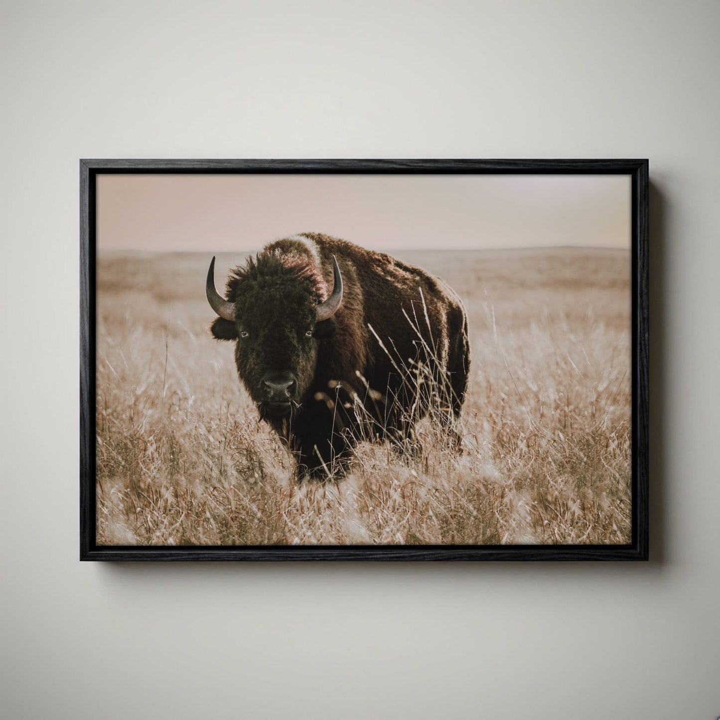 Bison Canvas Print - Buffalo Wall Art - Tallgrass Prairie Decor