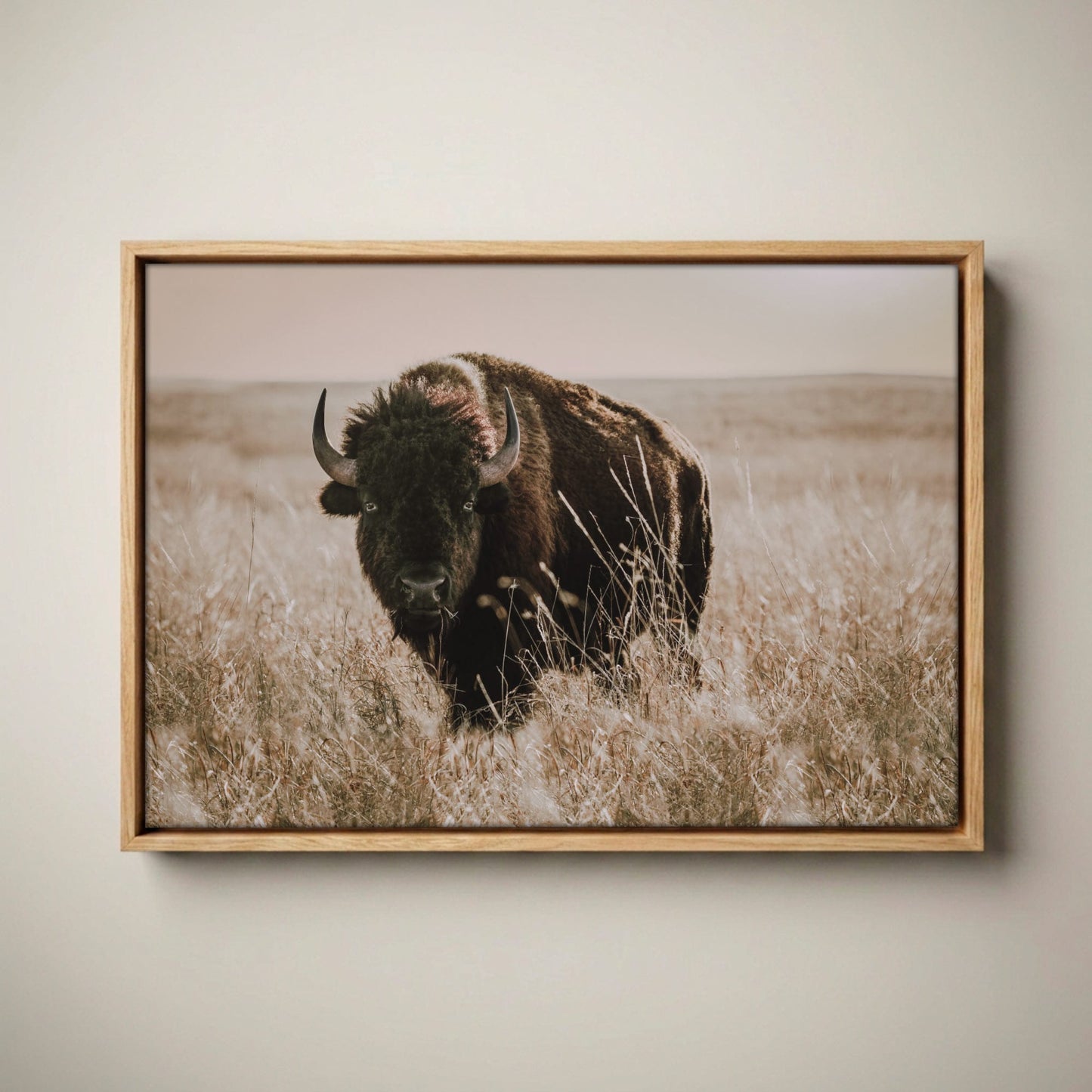 Bison Canvas Print - Buffalo Wall Art - Tallgrass Prairie Decor Canvas-Natural Oak Float Frame / 12 x 18 Inches