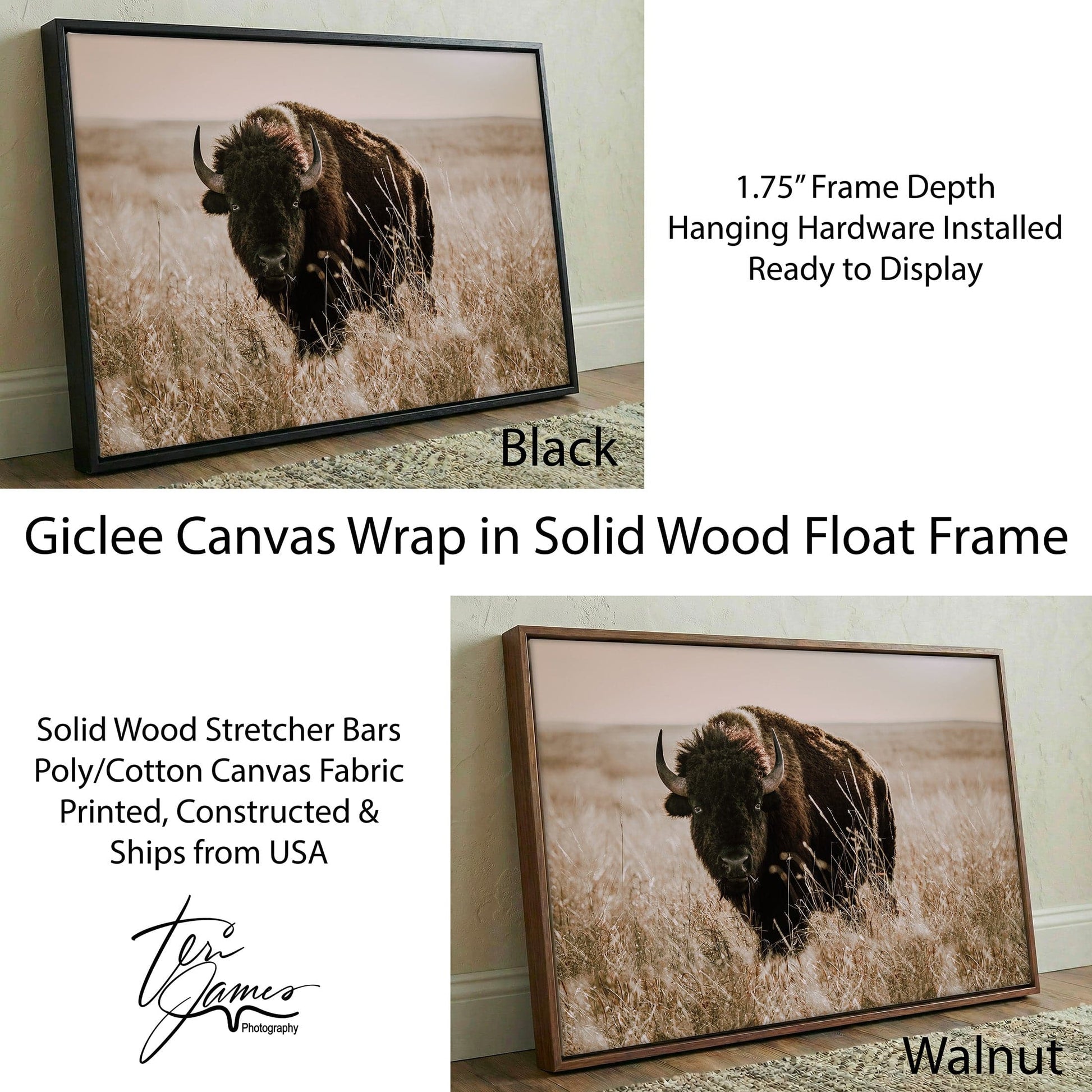 Bison Canvas Print - Buffalo Wall Art - Tallgrass Prairie Decor Canvas-Black Frame / 12 x 18 Inches Wall Art Teri James Photography