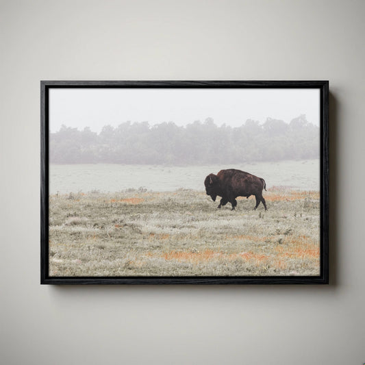 Bison Canvas Print - Western Wildlife Wall Art Cabin Decor