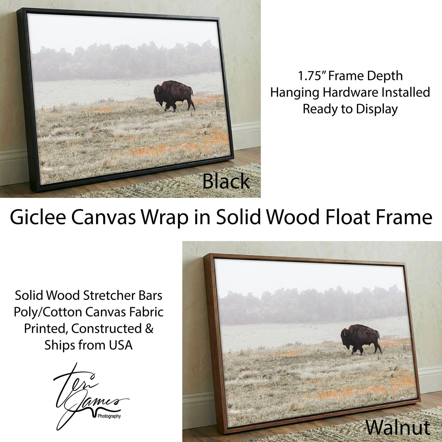Bison Canvas Print - Western Wildlife Wall Art Rustic Cabin Decor Canvas-Black Frame / 12 x 18 Inches Wall Art Teri James Photography