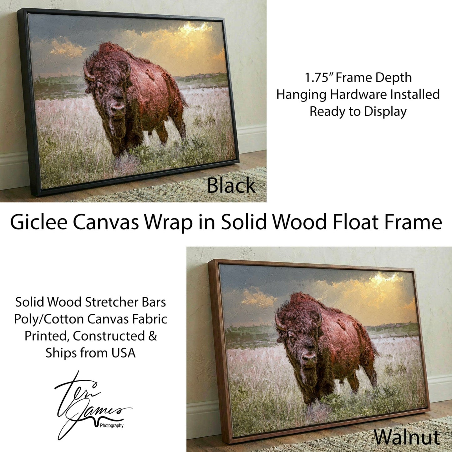 Bison Canvas Print with Painting Effect Wall Art Teri James Photography