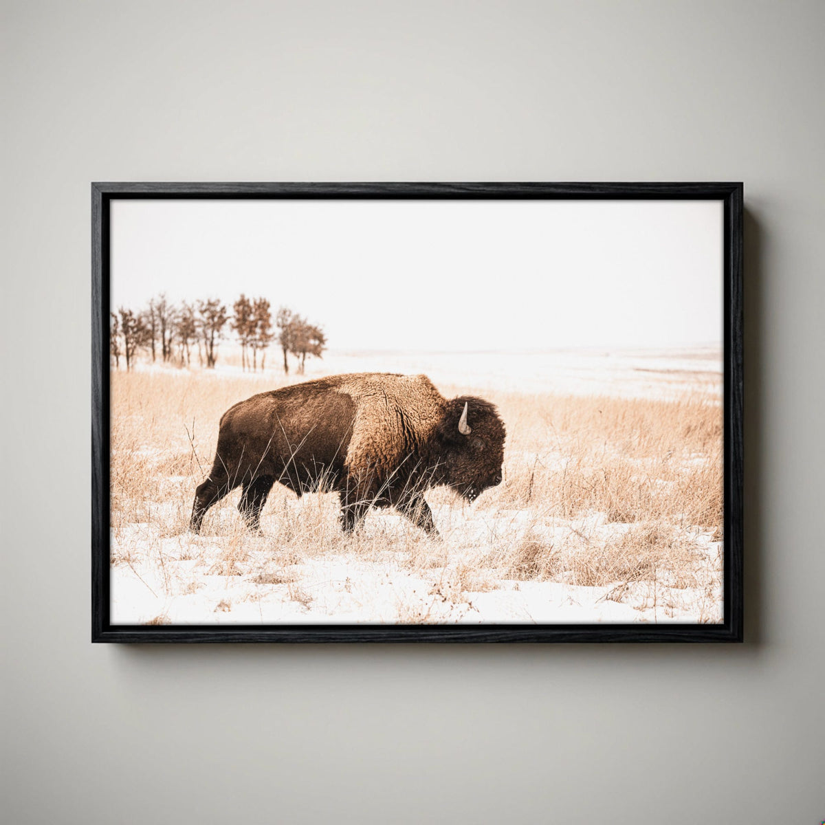 Bison Canvas Wall Art - Brown & Sepia Tone Western Decor