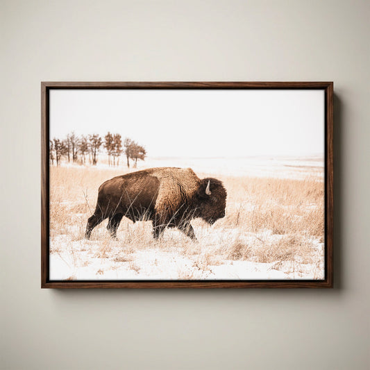 Bison Canvas Wall Art - Brown & Sepia Tone Western Decor