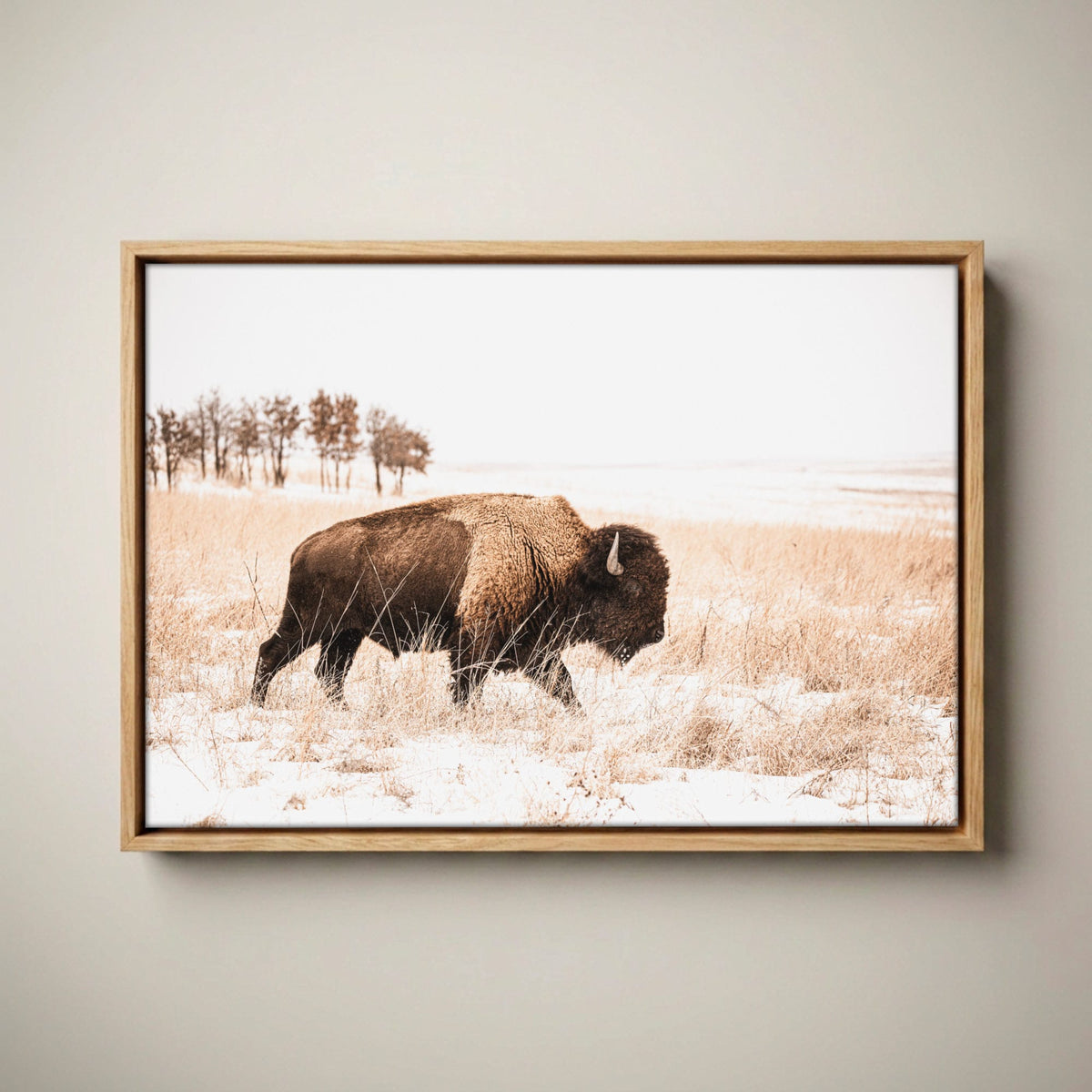 Bison Canvas Wall Art - Brown & Sepia Tone Western Decor Canvas-Natural Oak Float Frame / 12 x 18 Inches