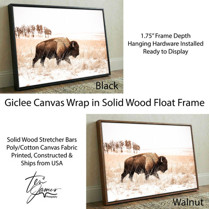 Bison Canvas Wall Art - Brown & Sepia Tone Western Decor Canvas-Black Frame / 12 x 18 Inches Wall Art Teri James Photography