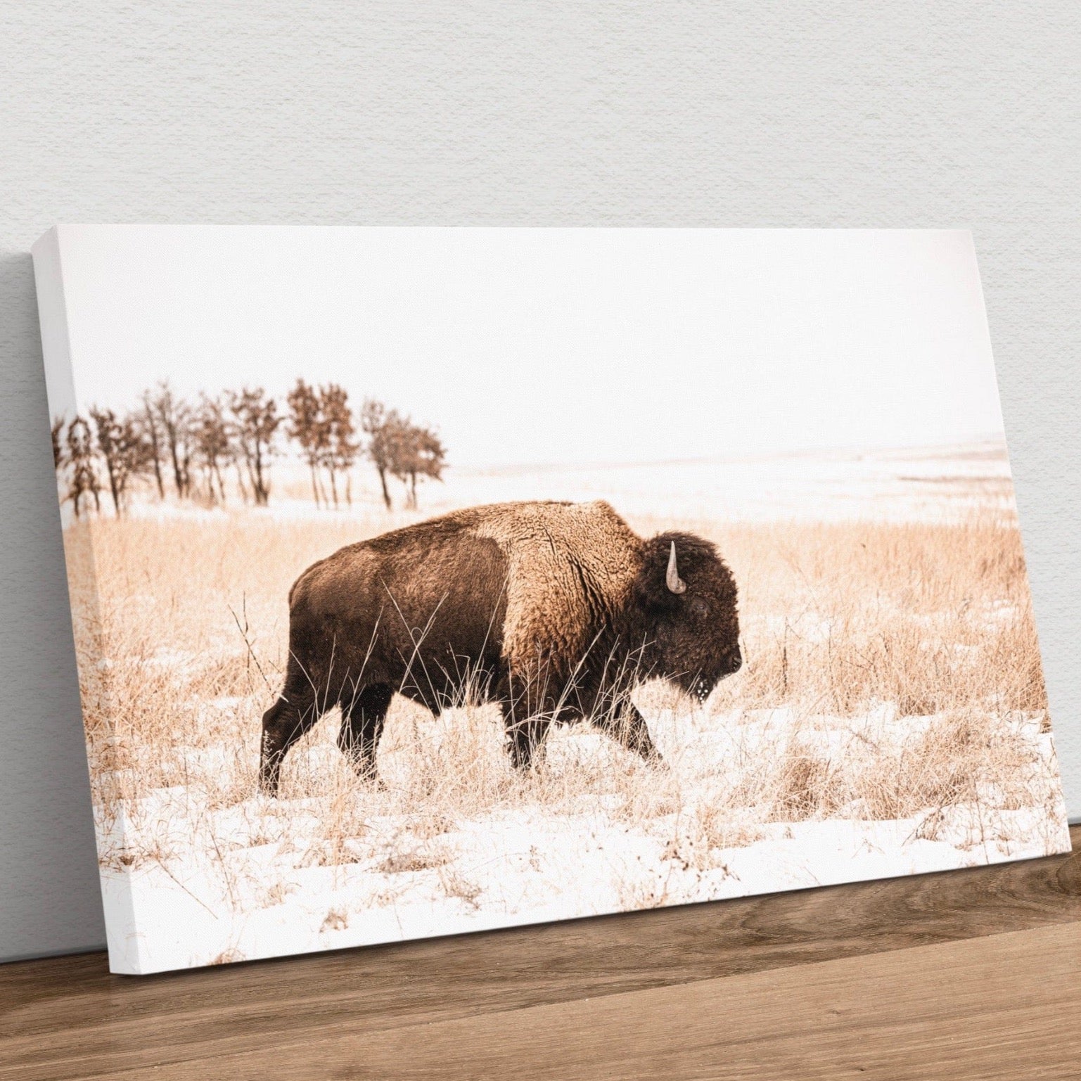 Bison Canvas Wall Art - Brown & Sepia Tone Western Decor Canvas-Unframed / 12 x 18 Inches Wall Art Teri James Photography