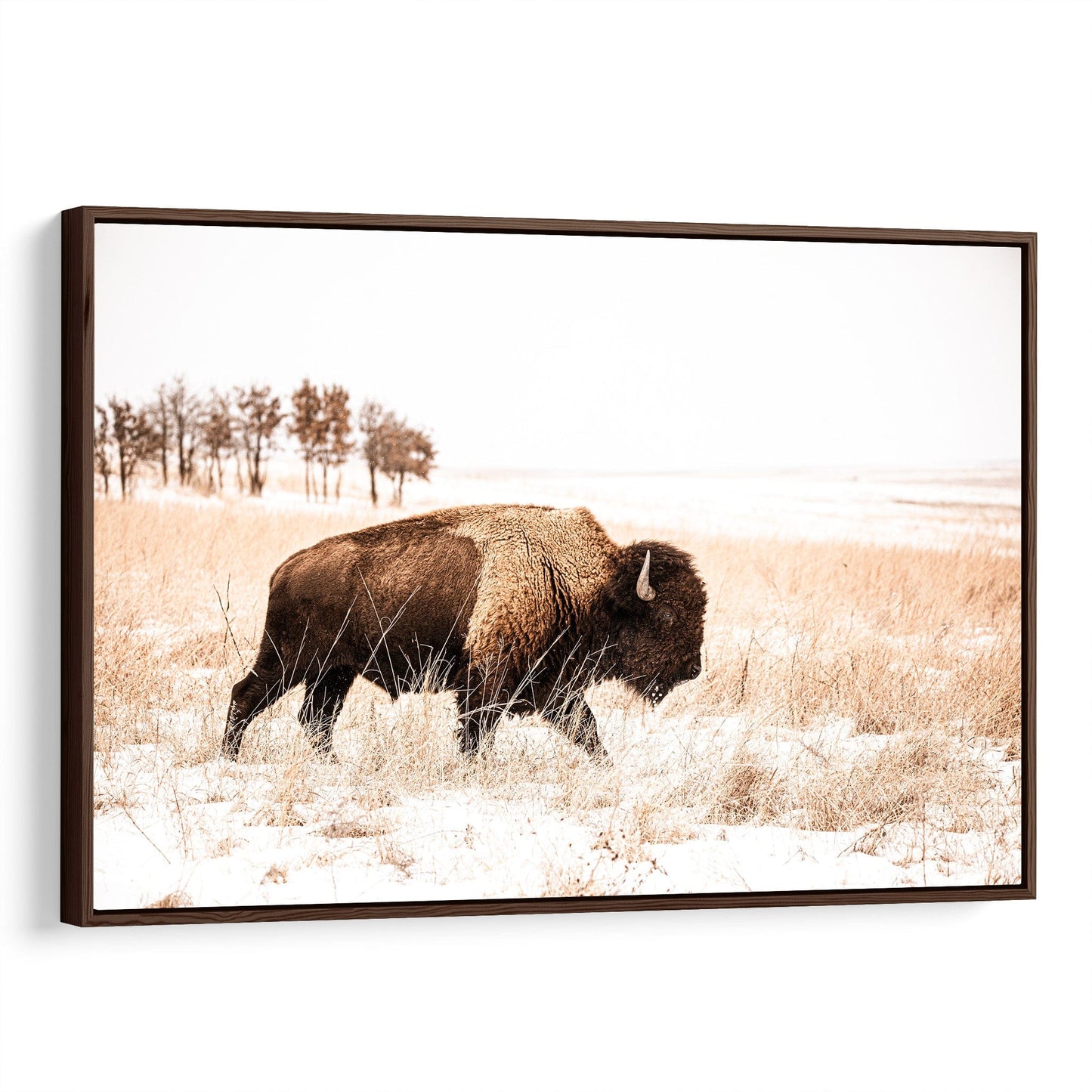 Bison Canvas Wall Art - Brown & Sepia Tone Western Decor Canvas-Walnut Frame / 12 x 18 Inches Wall Art Teri James Photography