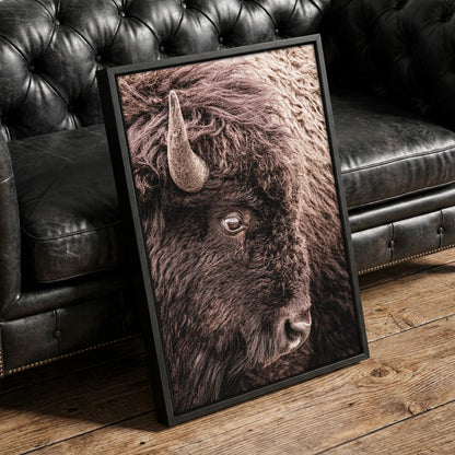 Bison Canvas Wall Art - Closeup Bison Photo