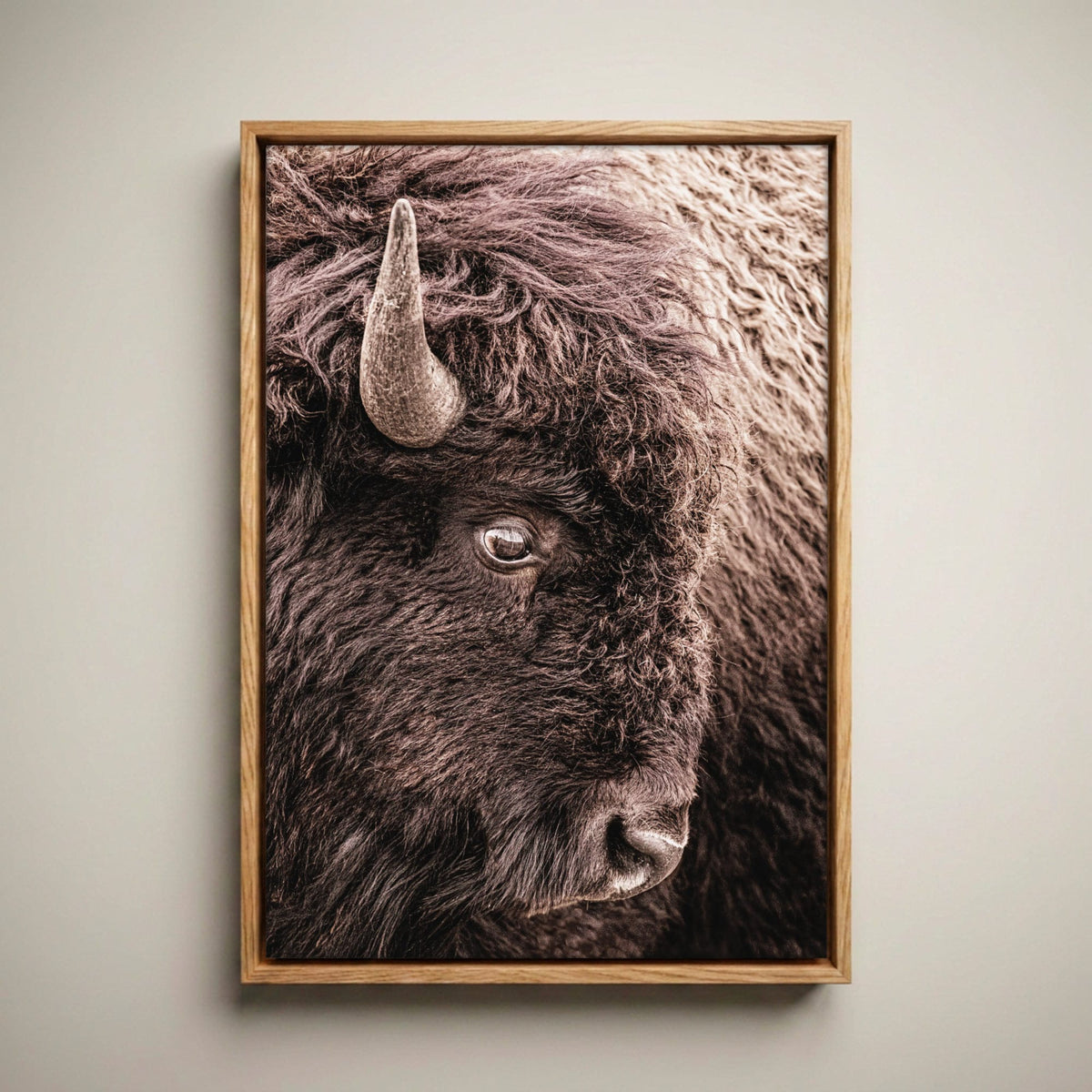 Bison Canvas Wall Art - Closeup Bison Photo Canvas-Natural Oak Float Frame / 12 x 18 Inches