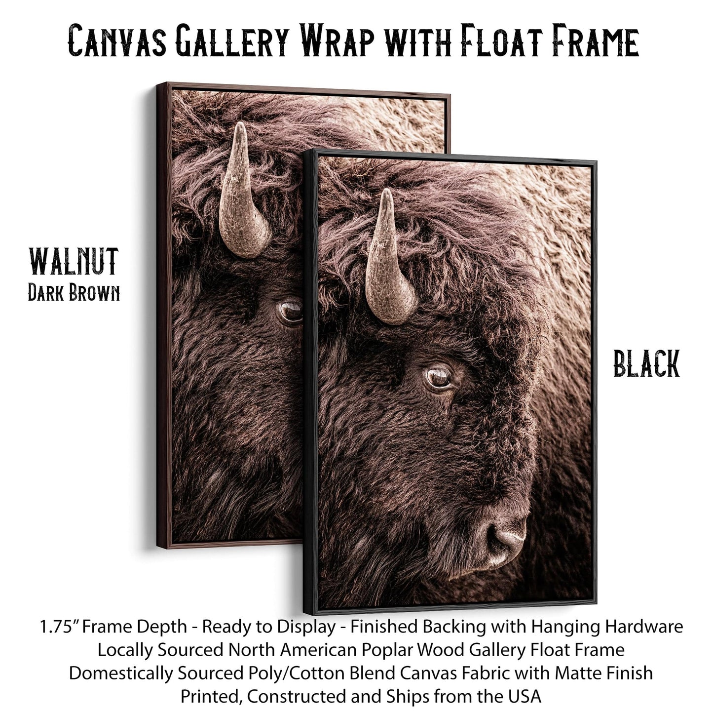 Bison Closeup Vertical Canvas Wall Art Canvas-Black Frame / 12 x 18 Inches Wall Art Teri James Photography