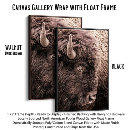 Bison Closeup Vertical Canvas Wall Art Canvas-Black Frame / 12 x 18 Inches Wall Art Teri James Photography