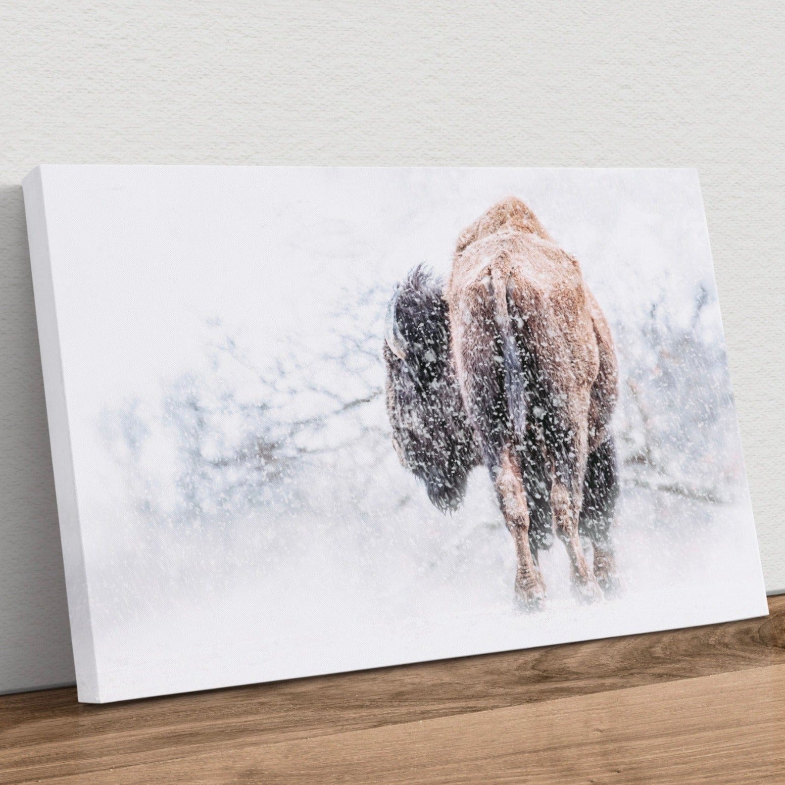 Bison in a Blizzard Canvas Canvas-Unframed / 12 x 18 Inches Wall Art Teri James Photography