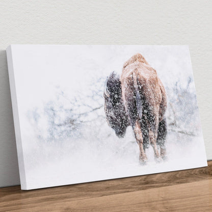Bison in a Blizzard Canvas Canvas-Unframed / 12 x 18 Inches Wall Art Teri James Photography