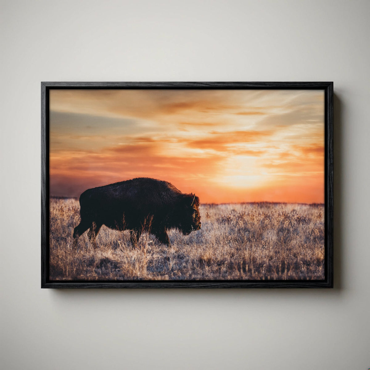 Bison Wall Art Canvas - Colorful Orange Sunset