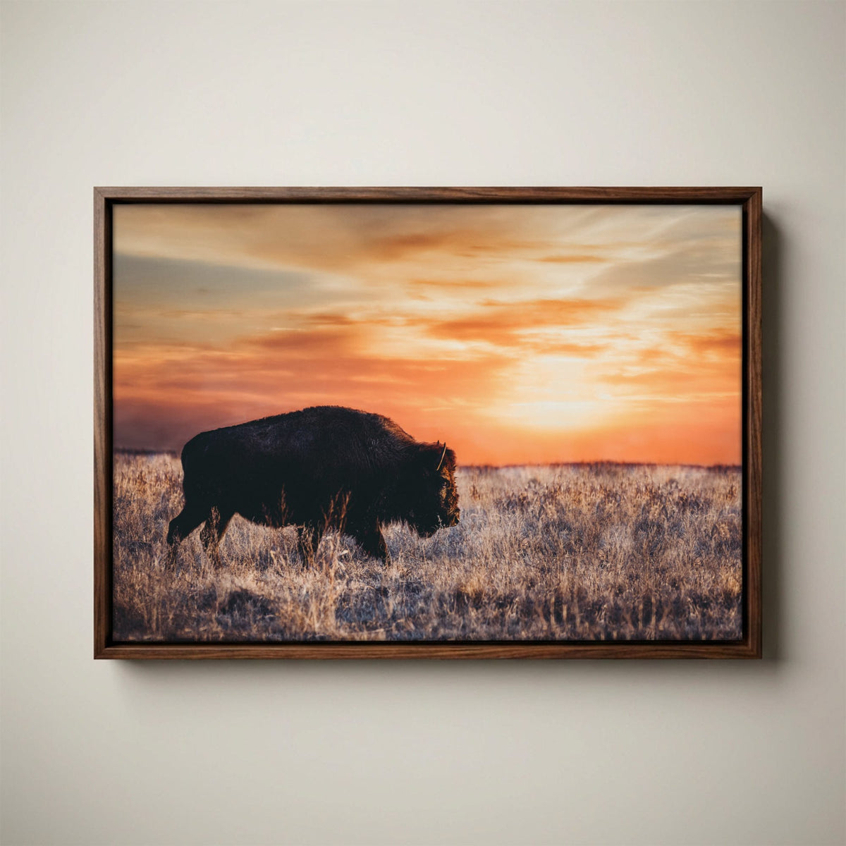 Bison Wall Art Canvas - Colorful Orange Sunset