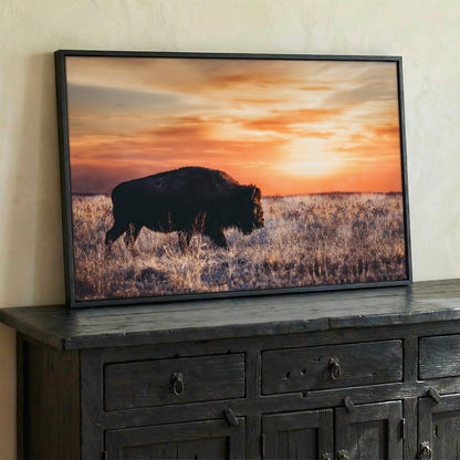 Bison Wall Art Canvas - Colorful Orange Sunset Wall Art Teri James Photography