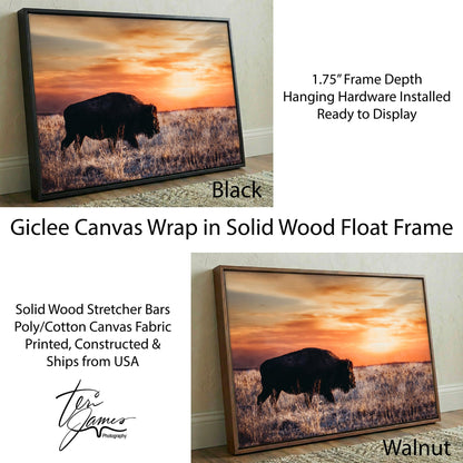 Bison Wall Art Canvas - Colorful Orange Sunset Canvas-Black Frame / 12 x 18 Inches Wall Art Teri James Photography