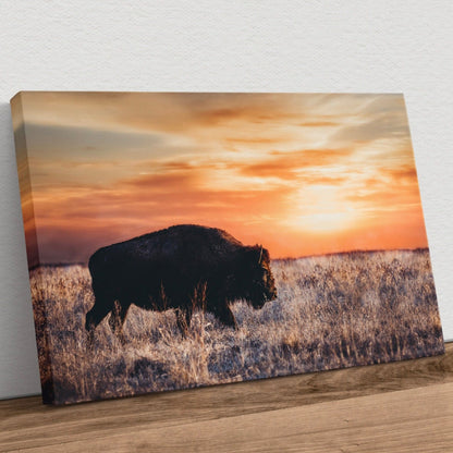 Bison Wall Art Canvas - Colorful Orange Sunset Canvas-Unframed / 12 x 18 Inches Wall Art Teri James Photography
