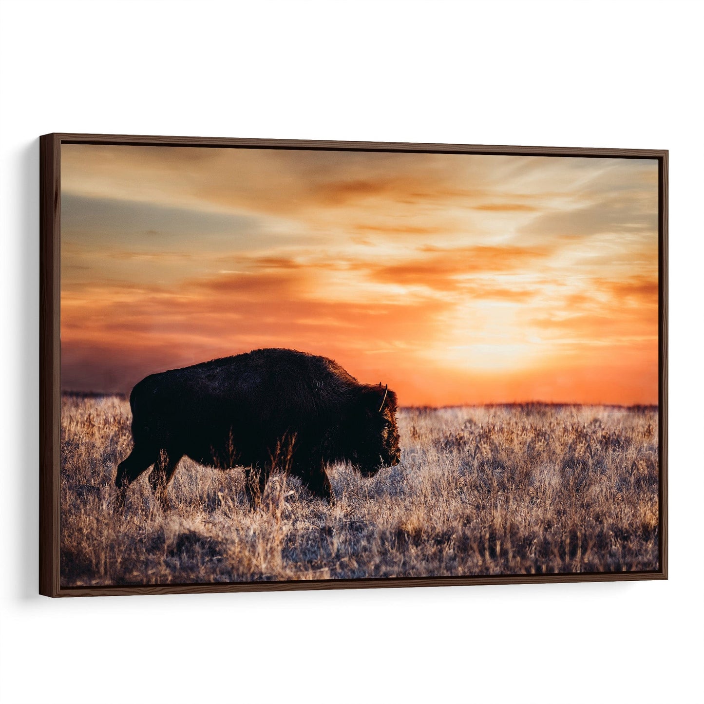 Bison Wall Art Canvas - Colorful Orange Sunset Canvas-Walnut Frame / 12 x 18 Inches Wall Art Teri James Photography