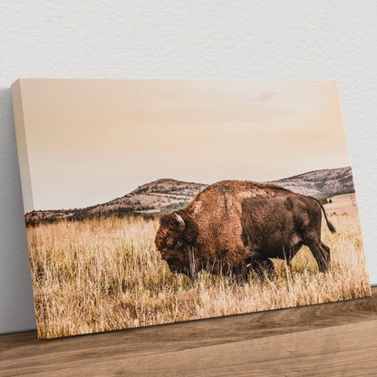 Bison Wall Art Canvas Print Canvas-Unframed / 12 x 18 Inches Wall Art Teri James Photography