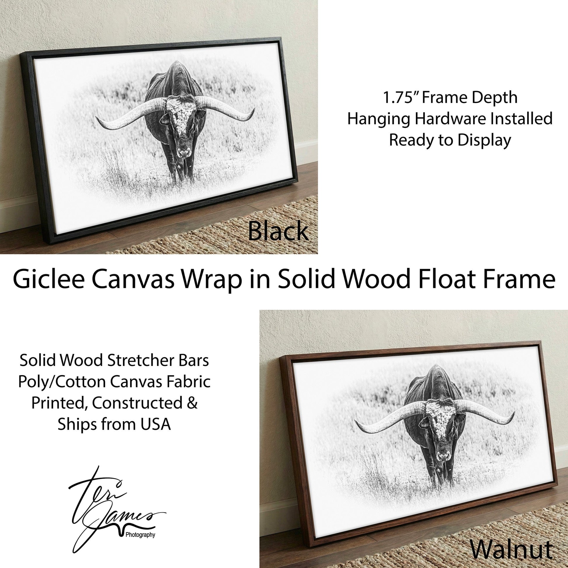 Black and White Longhorn Panoramic Canvas Print – Modern Rustic Art for Living Room Canvas-Black Frame / 10 x 20 Inches Wall Art Teri James Photography