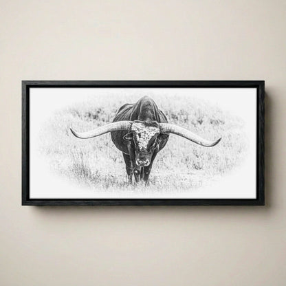 Black and White Longhorn Panoramic Canvas