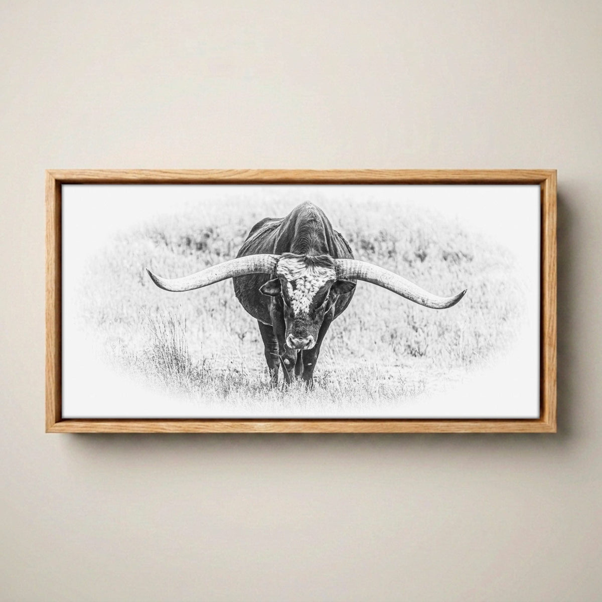 Black and White Longhorn Panoramic Canvas Canvas-Natural Oak Float Frame / 10 x 20 Inches