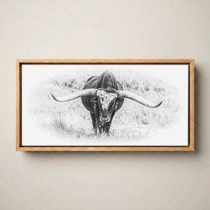 Black and White Longhorn Panoramic Canvas Canvas-Natural Oak Float Frame / 10 x 20 Inches