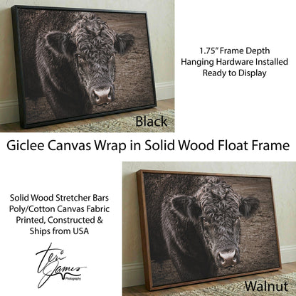 Black Angus Bull Print - Rustic Western Wall Art Canvas by Teri James Canvas-Black Frame / 12 x 18 Inches Wall Art Teri James Photography