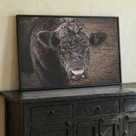 Black Angus Bull Print Wall Art Teri James Photography
