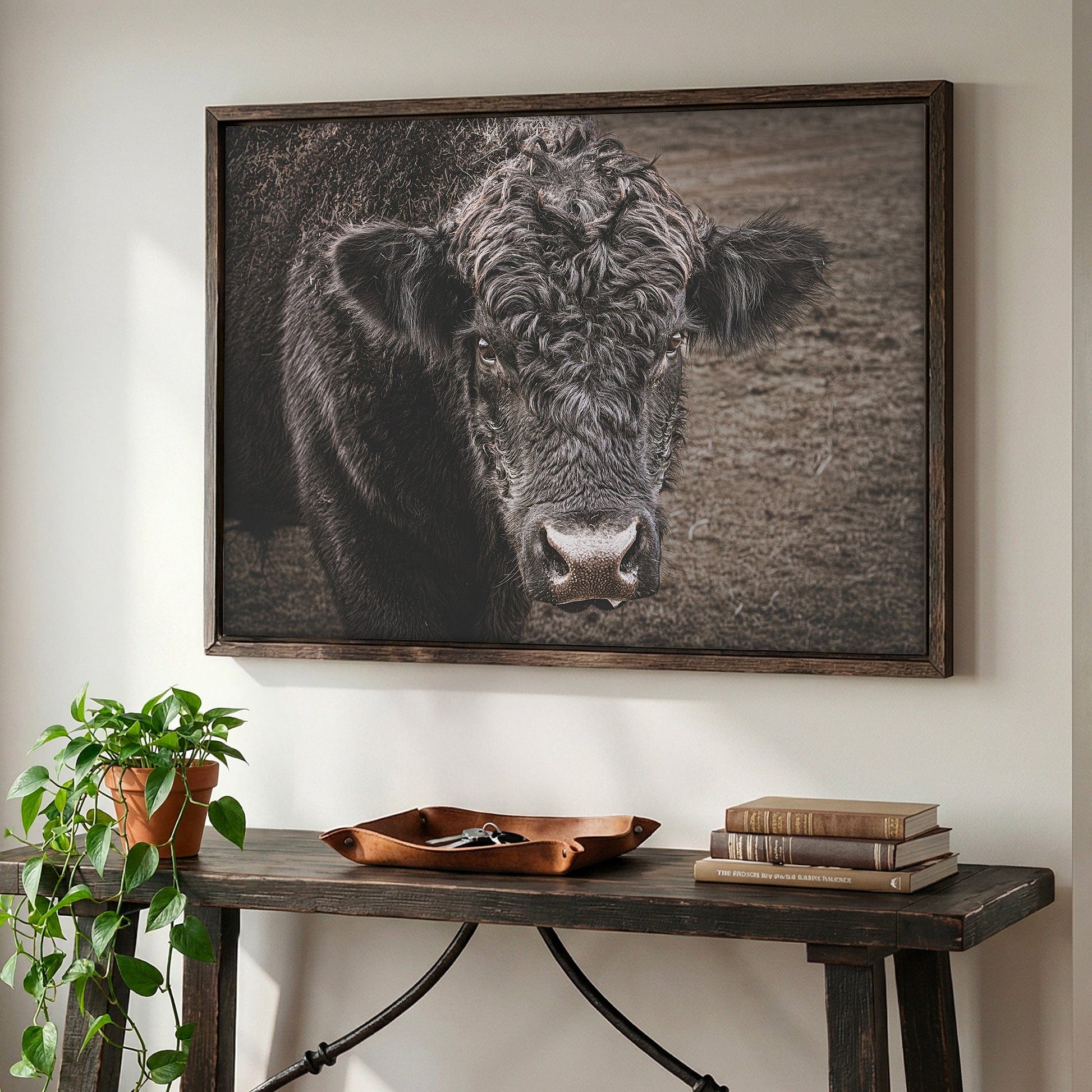 Black Angus Bull Print Wall Art Teri James Photography