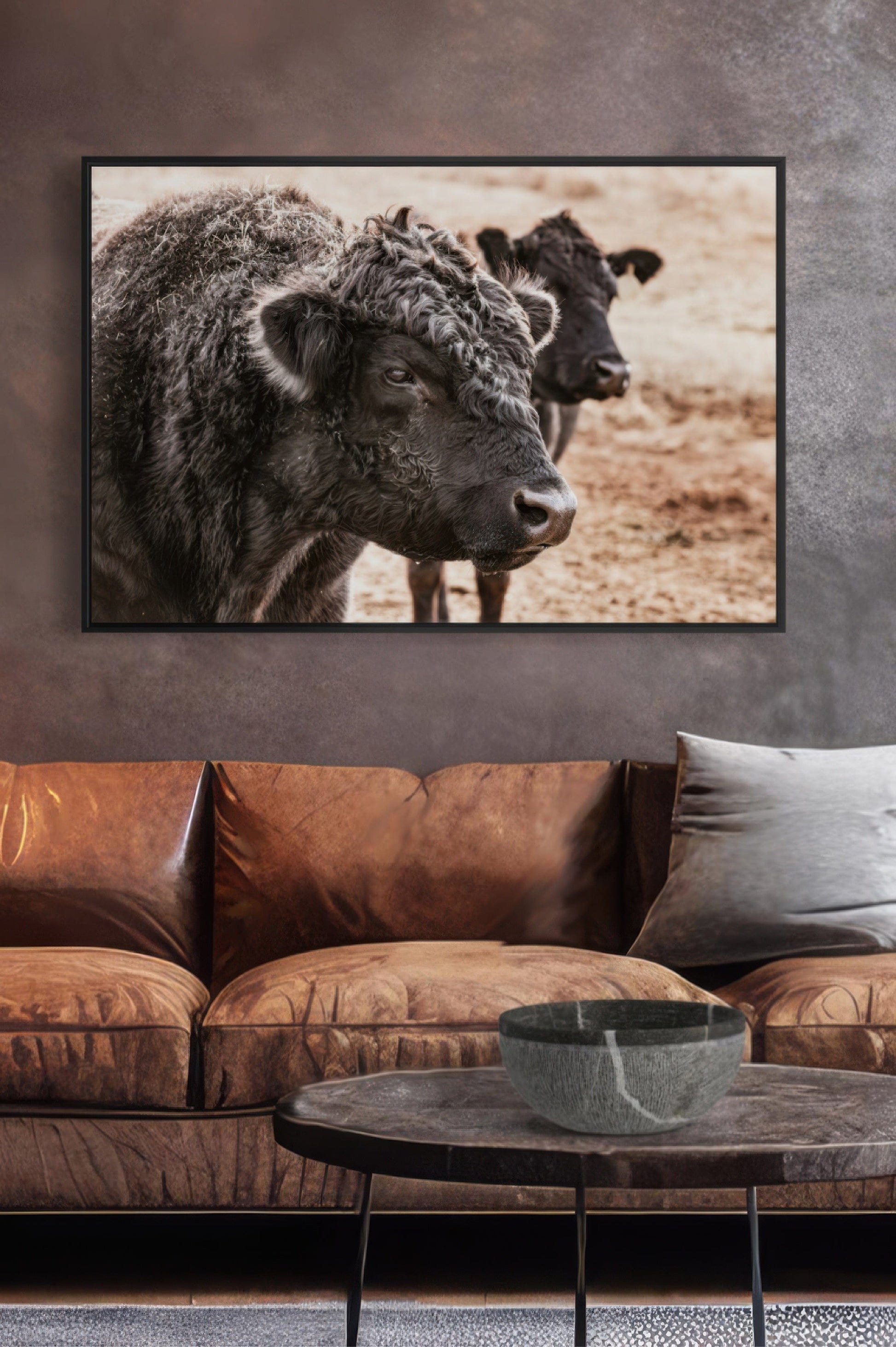 Black Angus Bull Wall Art Wall Art Teri James Photography