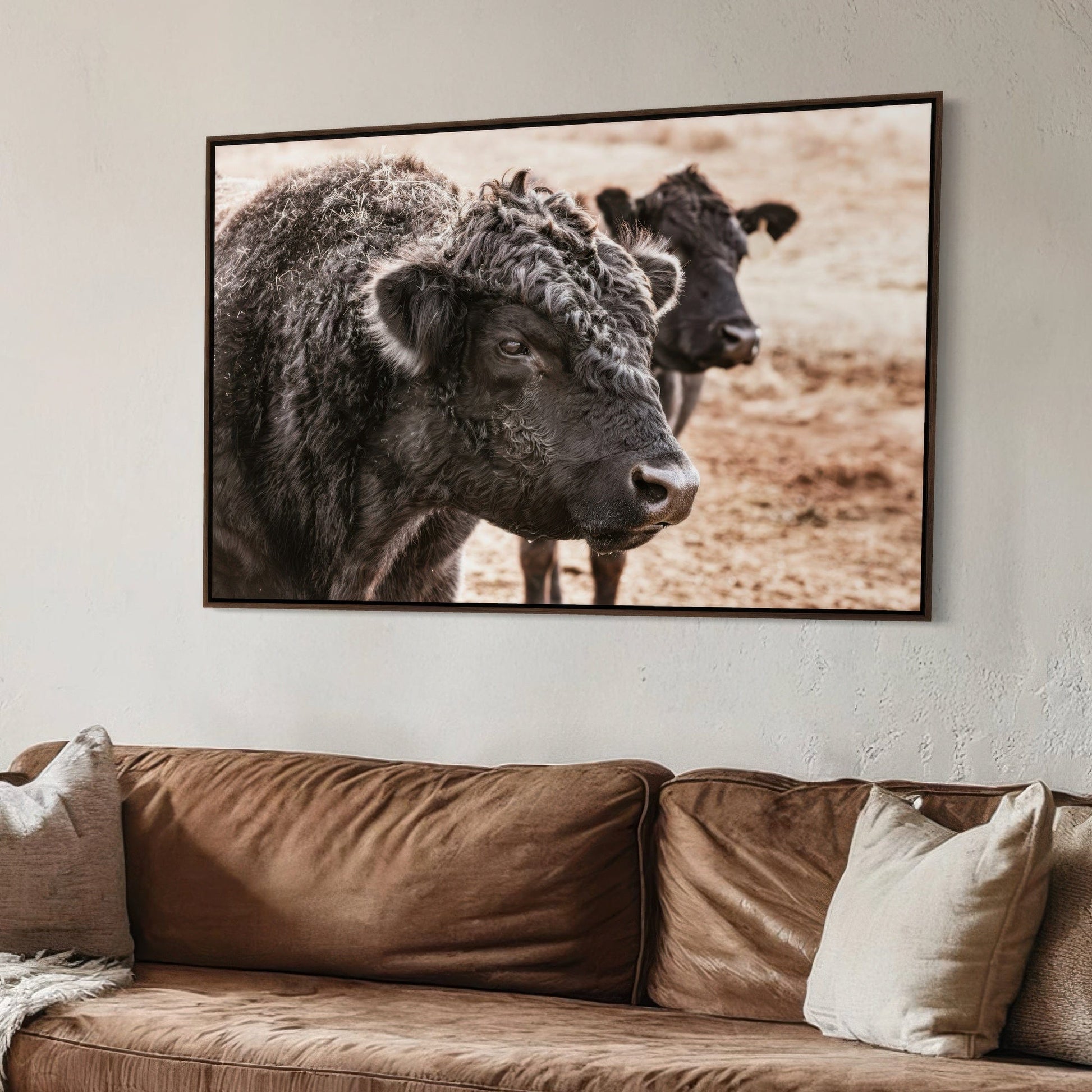 Black Angus Bull Wall Art Wall Art Teri James Photography