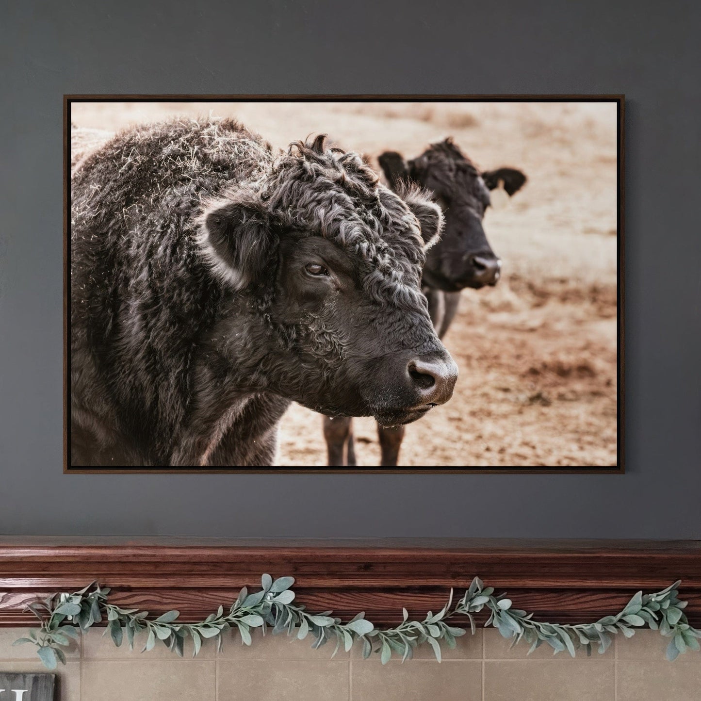 Black Angus Bull Wall Art Wall Art Teri James Photography