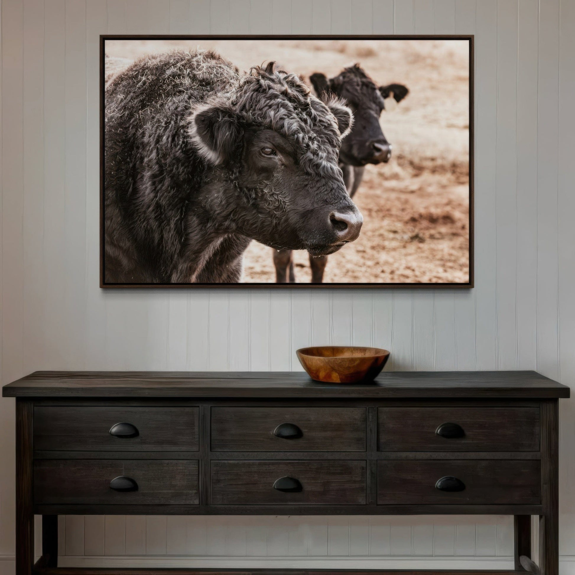 Black Angus Bull Wall Art Wall Art Teri James Photography