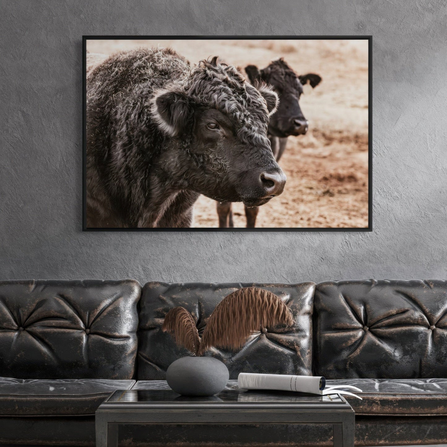 Black Angus Bull Wall Art Wall Art Teri James Photography
