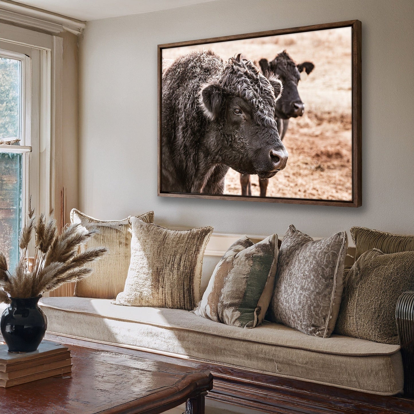 Black Angus Bull Wall Art Wall Art Teri James Photography