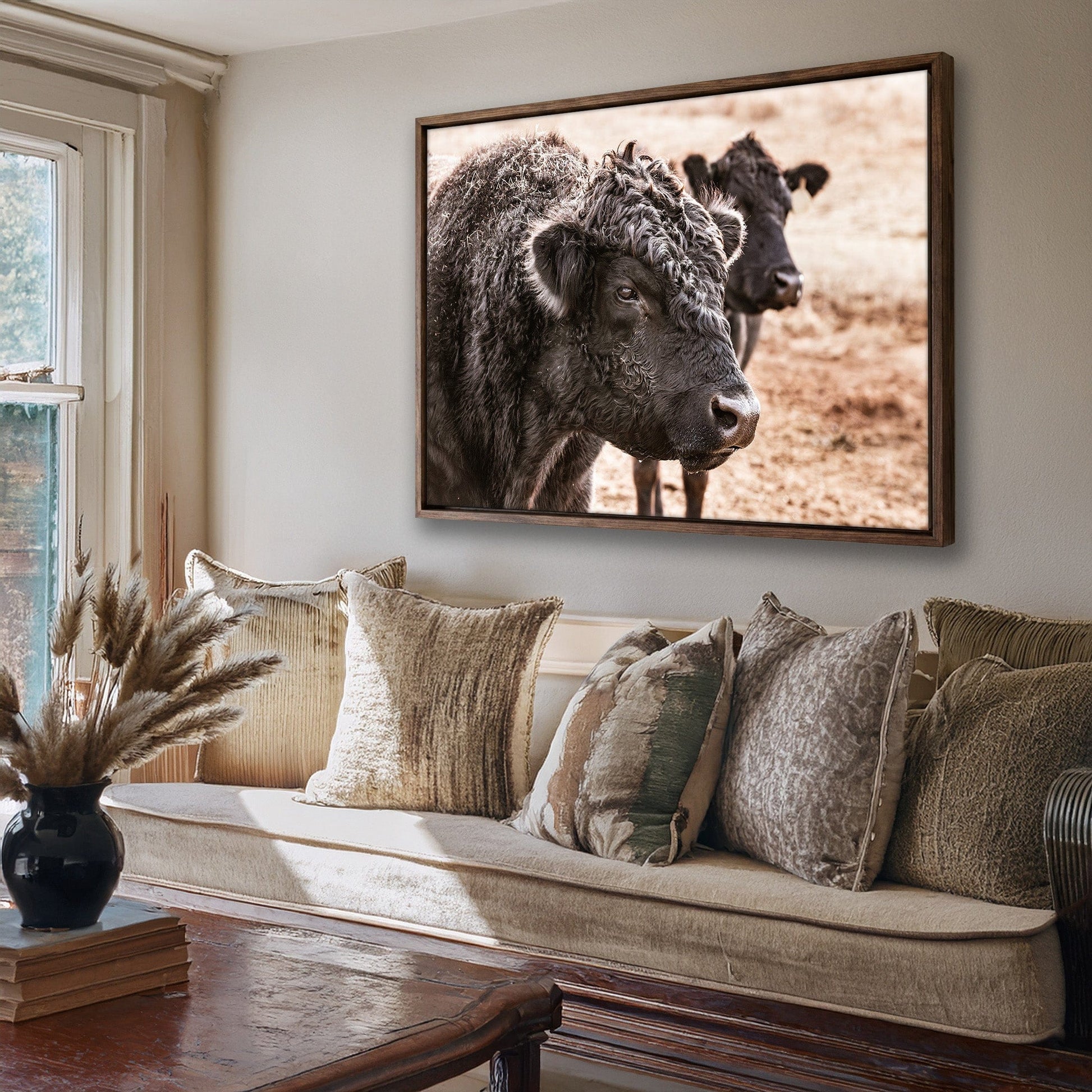 Black Angus Bull Wall Art Wall Art Teri James Photography