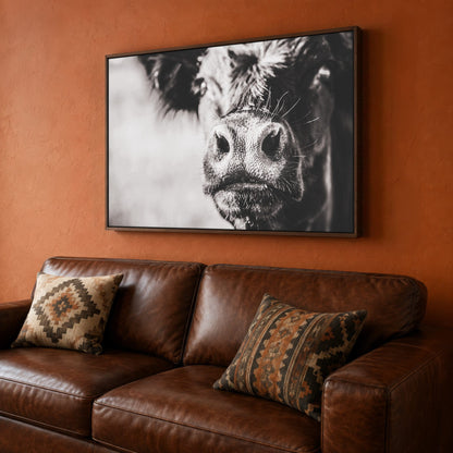 Black Angus Canvas Art - Playful Cow Closeup Canvas-Walnut Frame / 12 x 18 Inches