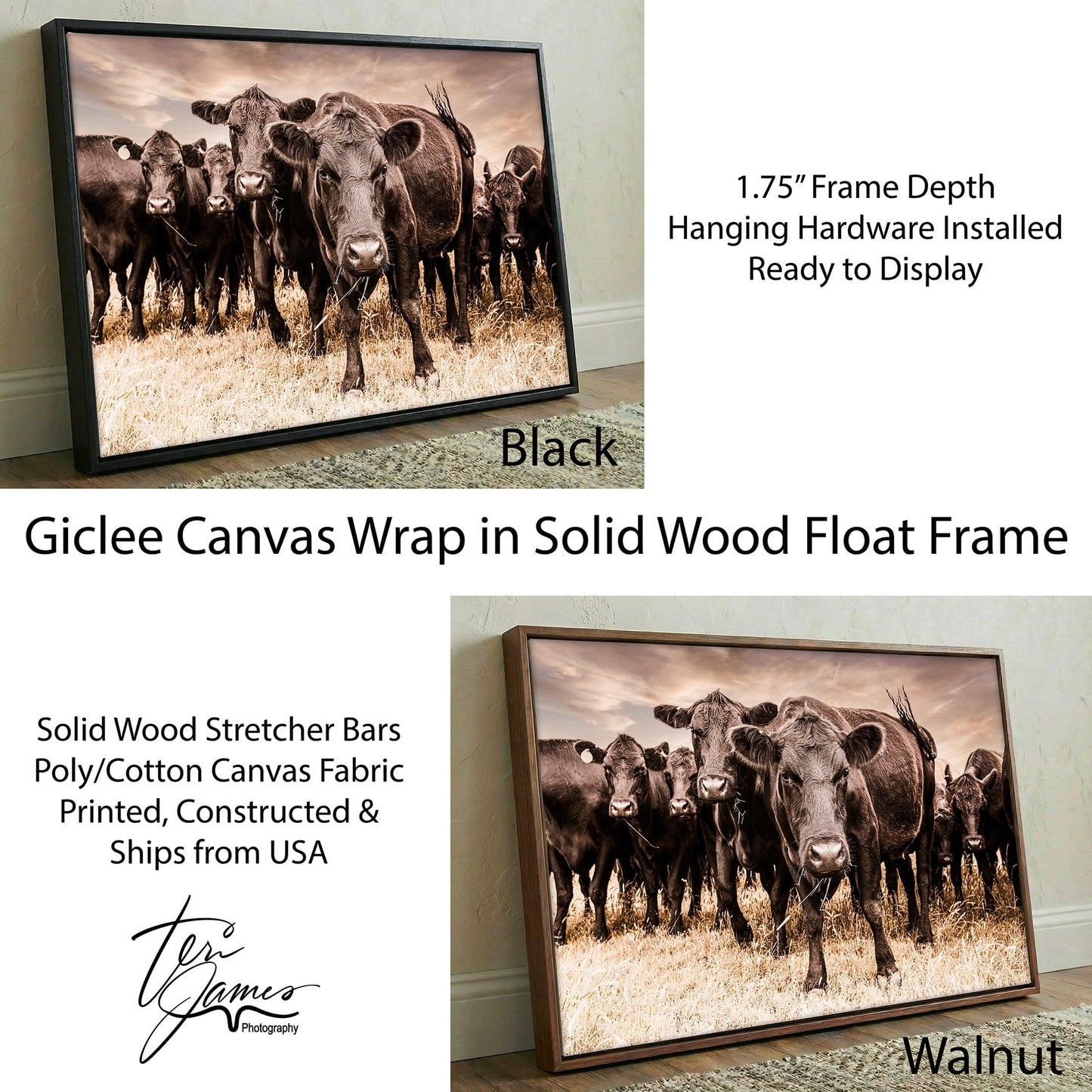 Black Angus Canvas Art - Rustic Western Wall Decor Cow Canvas Print Canvas-Black Frame / 12 x 18 Inches Wall Art Teri James Photography