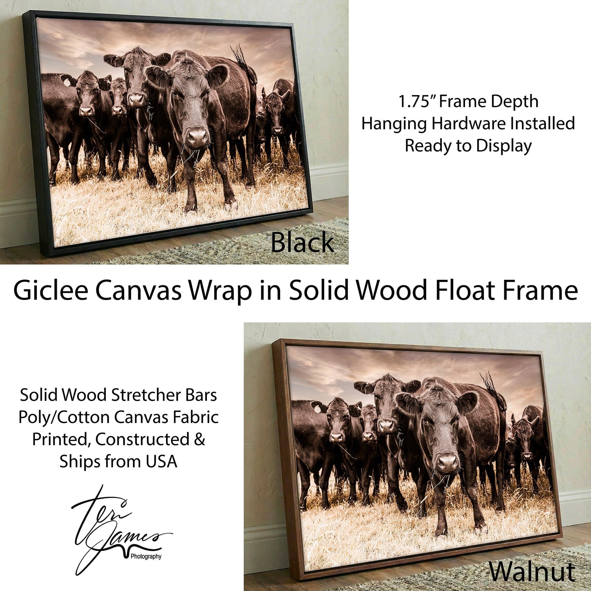 Black Angus Canvas Art - Rustic Western Wall Decor Cow Canvas Print Canvas-Black Frame / 12 x 18 Inches Wall Art Teri James Photography